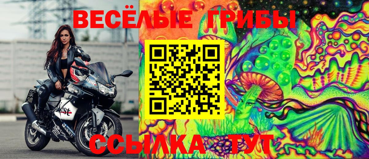 Галлюциногенные грибы Psilocybine cubensis  Вход с VPN  Ухта 