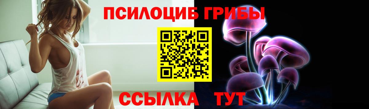 Галлюциногенные грибы Cubensis Ухта